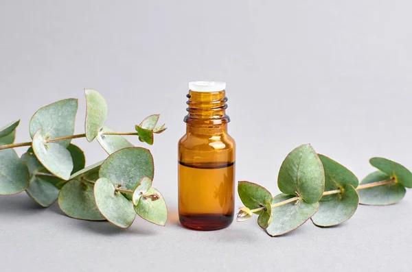 Eucalyptus Oil (Eucalyptus Globulus Leaf Oil) | CAS 8000-48-4 | 1,8-Cineole ≥ 80% Eucalyptus Oil (Eucalyptus Globulus Leaf Oil) | CAS 8000-48-4 | 1,8-Cineole ≥ 80%
